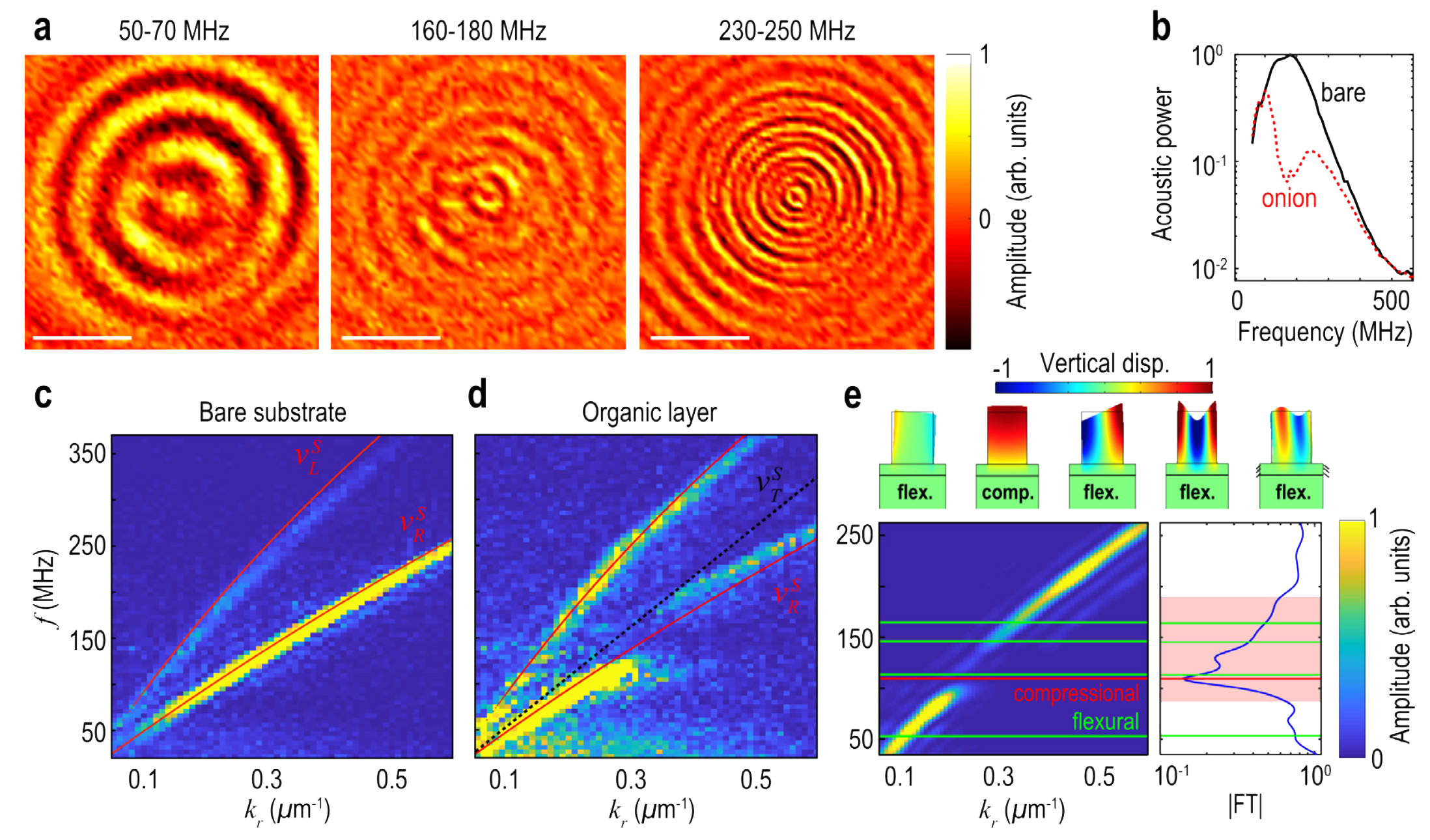 Growing phenotype-controlled phononic materials from plant cells scaffolds
