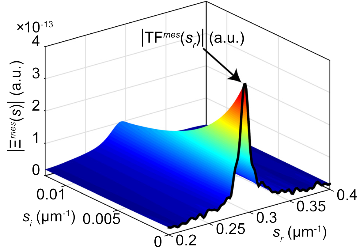 Spatial Laplace transform for complex wavenumber recovery and its application to the analysis of attenuation in acoustic systems