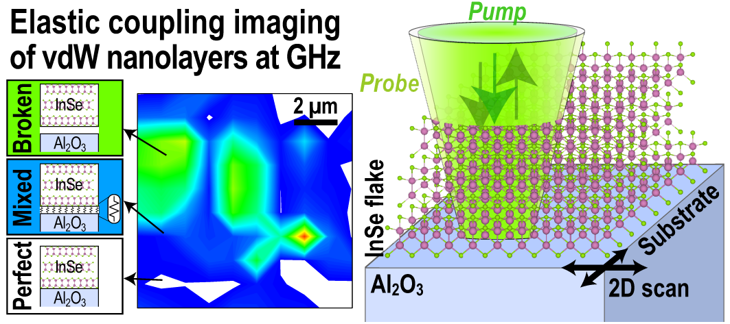 High-Frequency Elastic Coupling at the Interface of van der Waals Nanolayers Imaged by Picosecond Ultrasonics