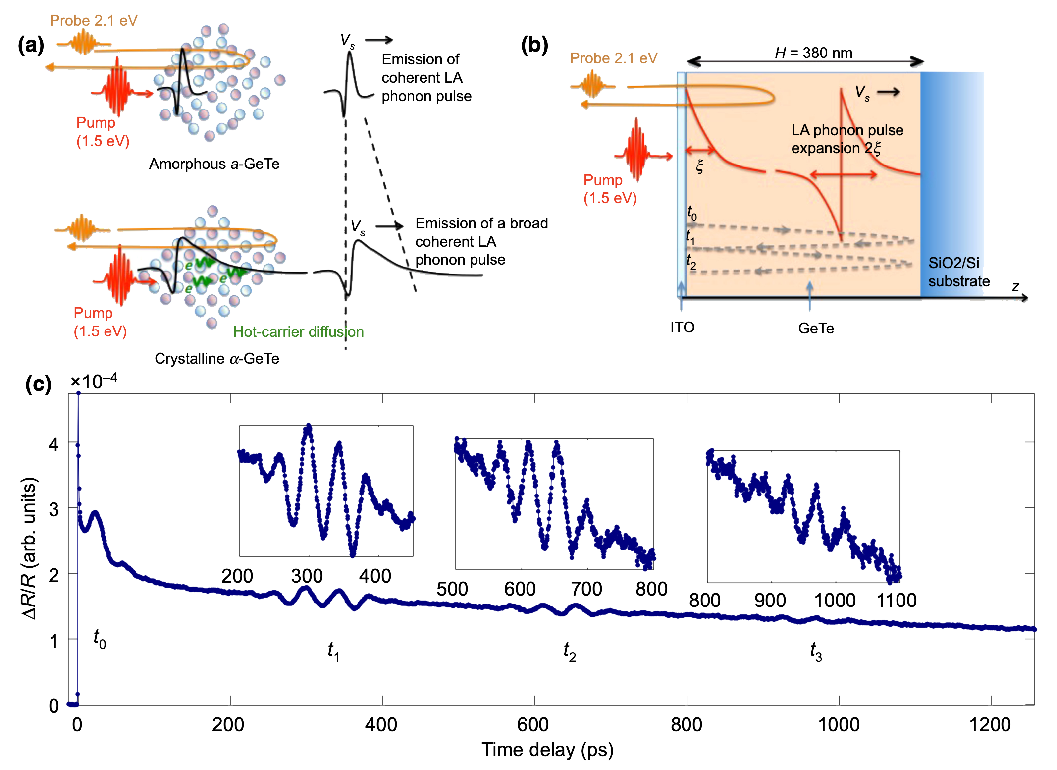 Nonthermal Transport of Energy Driven by Photoexcited Carriers in Switchable Solid States of GeTe