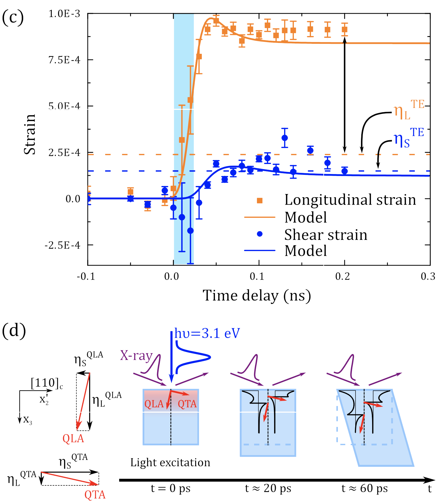 Ultrafast light-induced shear strain probed by time-resolved x-ray diffraction: Multiferroic BiFeO3 as a case study