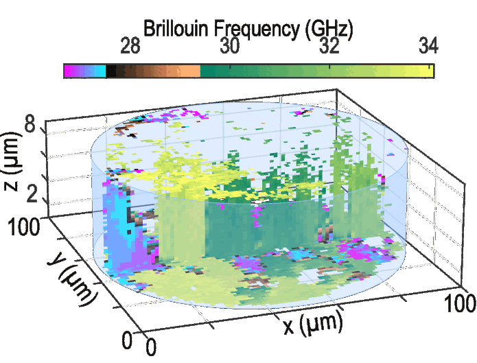 3D characterization of individual grains of coexisting high-pressure H2O ice phases by time-domain Brillouin scattering