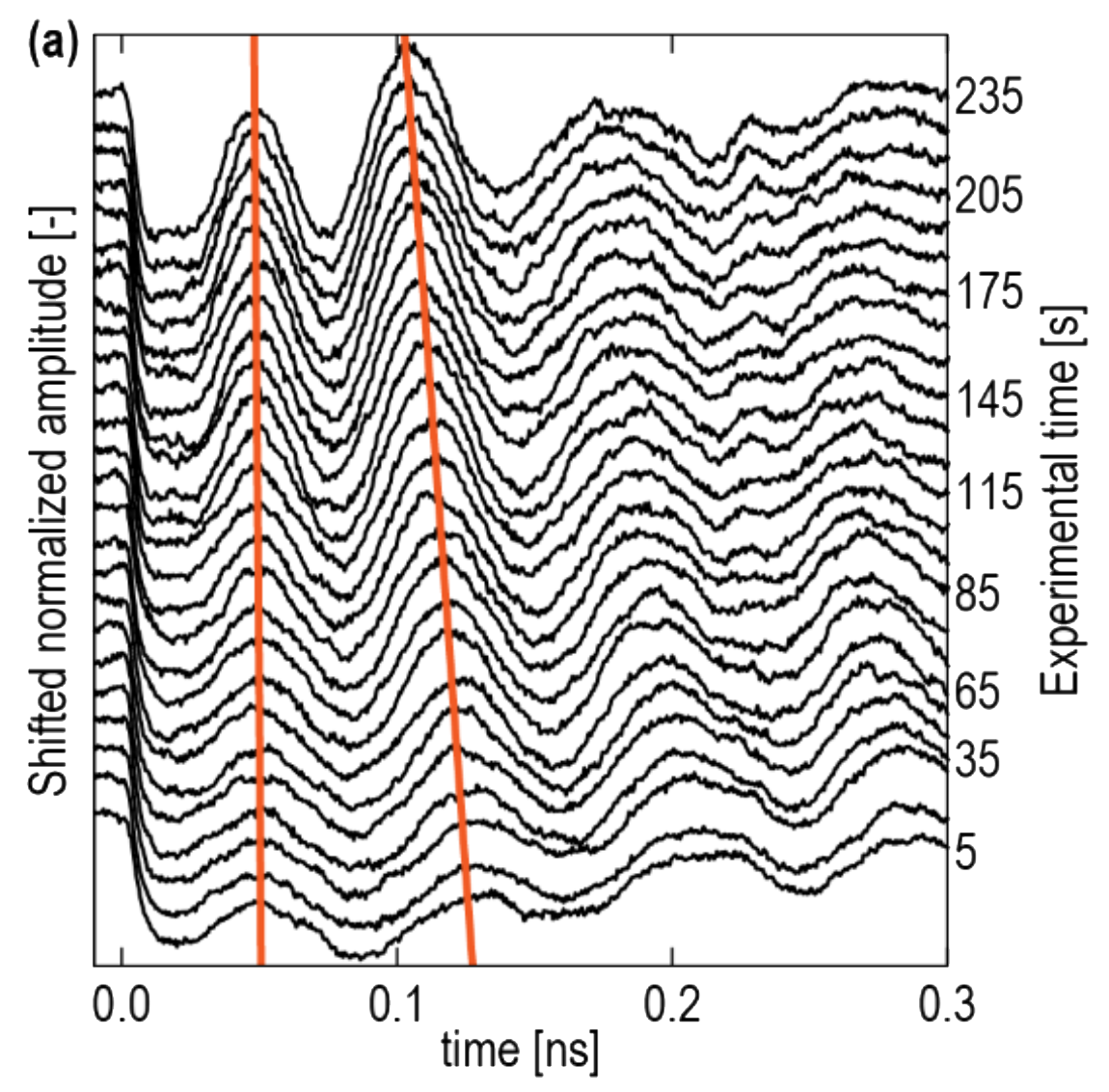 In-Situ Imaging of a Light-Induced Modification Process in Organo-Silica Films via Time-Domain Brillouin Scattering